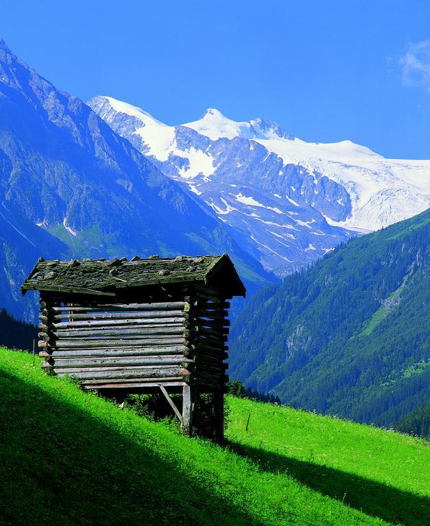 Haus Egger Apartment Neustift im Stubaital Exterior foto