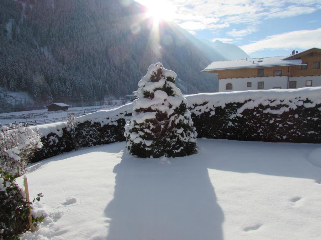Haus Egger Apartment Neustift im Stubaital Exterior foto